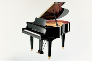 Pianisten Bremen