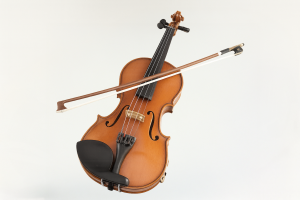 Violinisten Hamburg