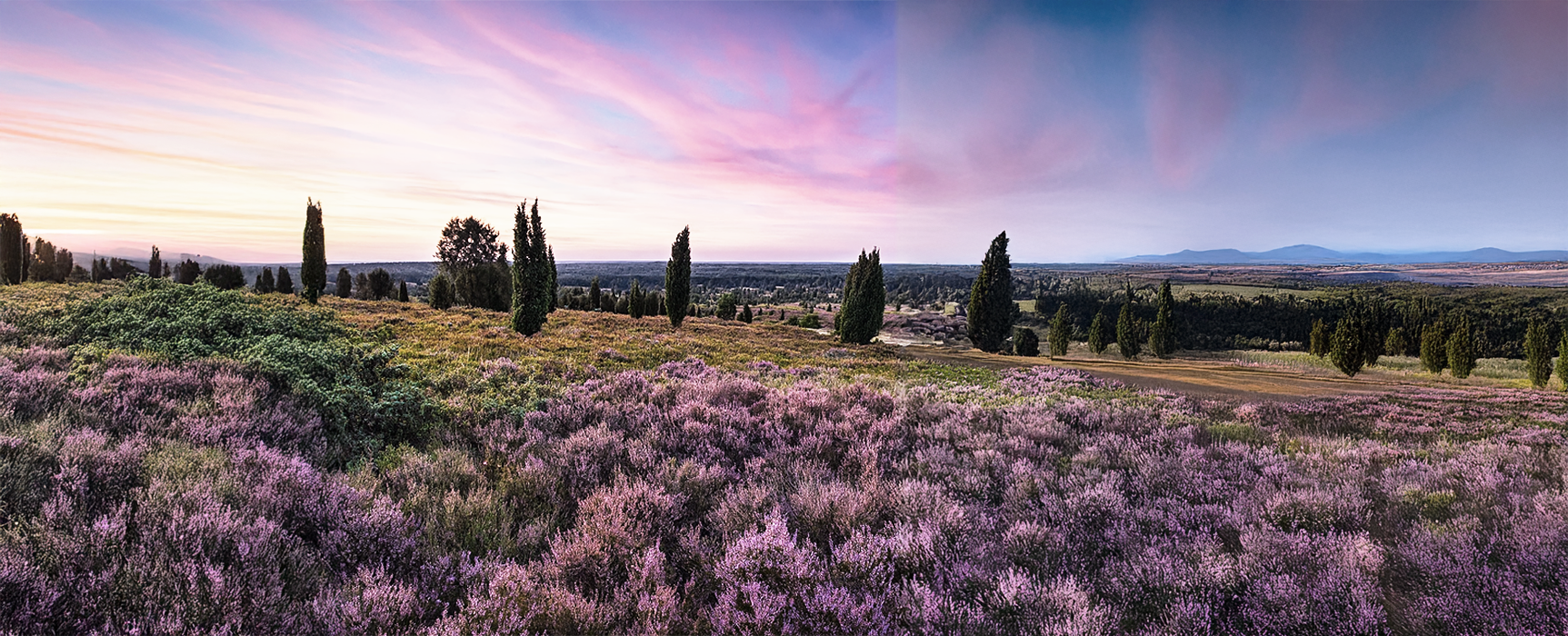 Bild ist nicht verfügbar 